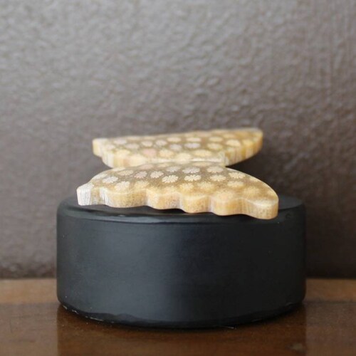 Fossil coral pair on sale butterfly