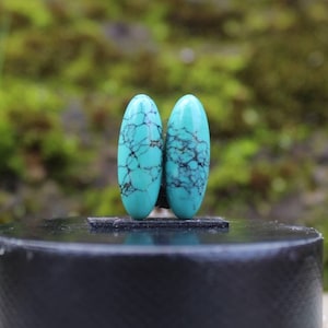 Natural Turquoise Nevada pair