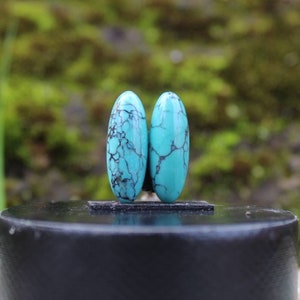 Natural Turquoise Nevada pair