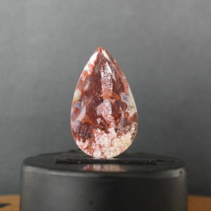 Fossil Coral Cabochons - Polished Gemstone Slices, Jewelry Making Supplies, Unique Gift for Crafters and Designers