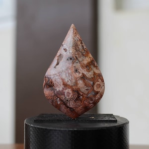 Plume Agate Druzy Cabochon
