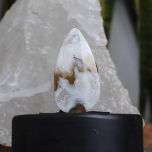 Plume agate cabochon
