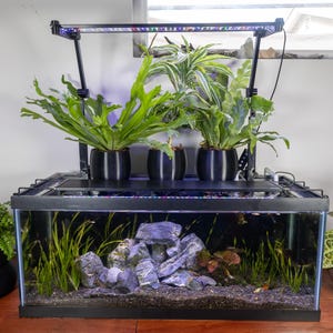 May include: A rectangular glass aquarium with a black frame, containing dark substrate, green aquatic plants, and grey rock formations. Above the tank, three black pots hold green houseplants, supported by a black metal light fixture frame.