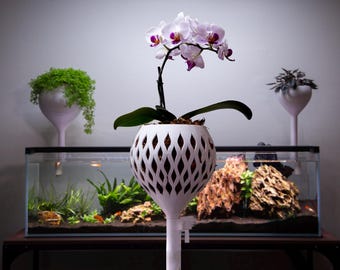 May include: A white, diamond-patterned planter holds an orchid with white and purple flowers. The planter is on a white stand. Other plants in decorative pots are visible, along with an aquarium.