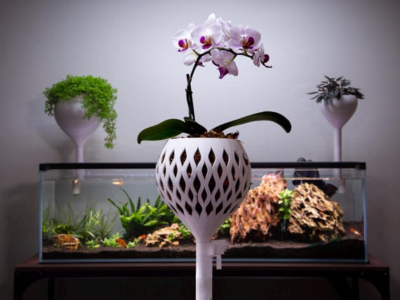 Orchideen Dochttopf fr Aquarien - Etsy.de