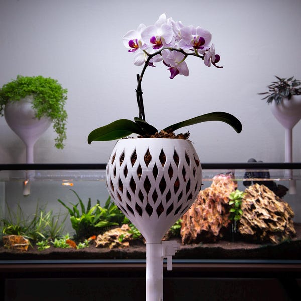Orchid Wicking Pot for Aquariums