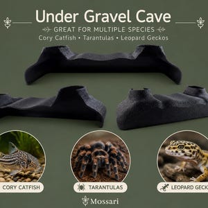 May include: Three black, textured, elongated arch-shaped structures labeled Under Gravel Cave. The text includes Great for Multiple Species, Cory Catfish, Tarantulas, and Leopard Geckos. Circular insets show a Cory Catfish, a tarantula, and a leopard gecko.