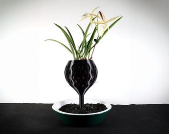 Orchid Wicking Pot - Humidity Tray
