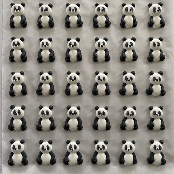 SIX Pandas