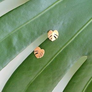 Hypoallergenic Tiny Dainty Monstera Deliciosa earring studs | Gift for Plant Mama Daddy Parent | Plant Dosage |Tarnish-free| Houseplant gift image 2
