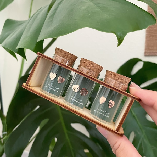Personalized Propagation Stand Metal Plant Earring Set