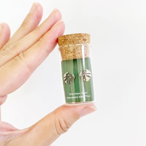May include: A small glass vial with a cork top containing a pair of silver Monstera Albo Thai leaf earrings. The vial is labeled "Stainless Steel Monstera Albo Thai".
