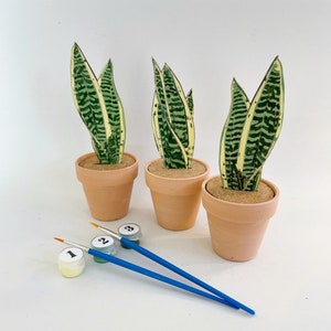 May include: Three potted snake plants with green and yellow striped leaves. The plants are in terracotta pots and are arranged in a row. There are three paint pots with numbers 1, 2, and 3 on them and two blue paintbrushes.