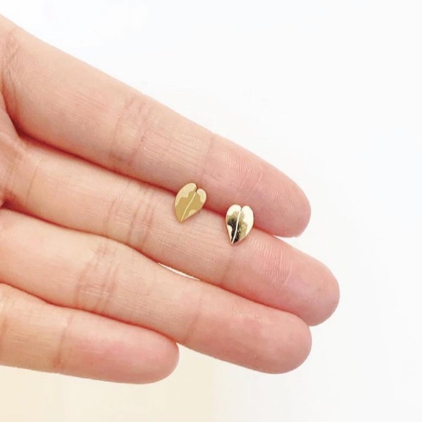 Hypoallergenic Pink Princess Philodendron White Knight 18k rose gold / gold plated or stainless steel plant stud earring