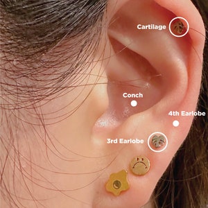 May include: Close-up of a person's ear with multiple ear piercings. The ear is pierced in the cartilage, conch, and third and fourth earlobes. The piercings are adorned with various jewelry, including a gold star, a gold smiley face, a silver monstera leaf, and a small gold stud.