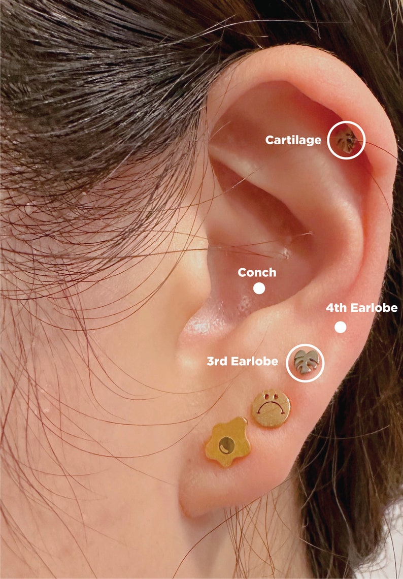 May include: Close-up of a person's ear with multiple ear piercings. The ear is pierced in the cartilage, conch, and third and fourth earlobes. The piercings are adorned with various jewelry, including a gold star, a gold smiley face, a silver monstera leaf, and a small gold stud.