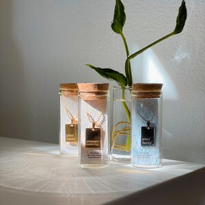 May include: Three glass vials with cork tops containing gold and silver necklaces with square pendants. The pendants have the words "plant mama", "propagate positivity", and "plant daddy" inscribed on them. The vials are sitting on a white wooden surface with a green plant in a glass vase behind them.
