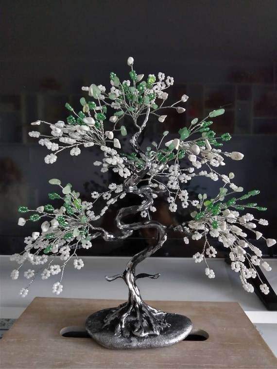 bonsai tree natural Bonsai Tree Bundle main image 0