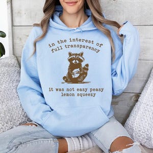 May include: A light blue hoodie with a brown raccoon graphic and the text "In the interest of full transparency it was not easy peasy lemon squeezy".