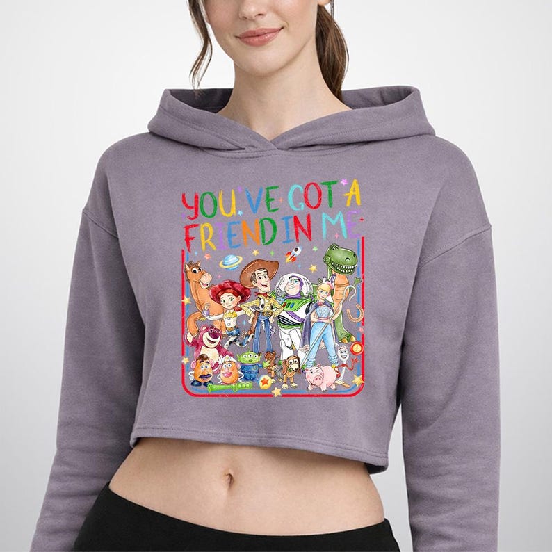 May include: A mauve cropped hoodie featuring a colorful graphic print of Toy Story characters and the text "YOU'VE GOT A FRIEND IN ME" in rainbow lettering. The design includes Woody, Buzz Lightyear, Jessie, Rex, and other characters framed by a red border.