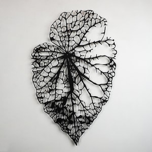 Puede incluir: Una gran pieza de arte mural en forma de hoja negra. La hoja tiene un dise&ntilde;o intrincado y calado, con una red de venas y c&eacute;lulas. La obra de arte est&aacute; montada en una pared blanca, creando un contraste llamativo.