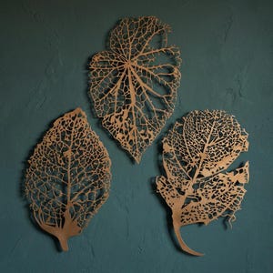 Puede incluir: Tres decoraciones de pared de hojas de metal dorado. Cada hoja presenta un intrincado dise&ntilde;o calado, que muestra las delicadas venas y la estructura de una hoja. Las hojas est&aacute;n montadas en una pared de color verde azulado.