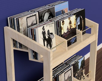 Vinyl Record Storage Display Unit - DIY Digital Download Plans for Modern 6-Bin Top & 3-Bin Bottom Record Holder - Woodworking plans Plywood