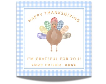 Puede incluir: Tarjeta de felicitación de Acción de Gracias con una ilustración de pavo marrón. La tarjeta tiene un borde de cuadros azules y blancos e incluye el texto "Happy Thanksgiving" y "I'm grateful for you!"