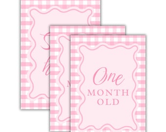 Baby Girl Milestone Cards – Monthly Milestone Cards – Newborn to 1st Year Keepsake Cards – Perfect Baby Shower Gift - Newborn Keepsake