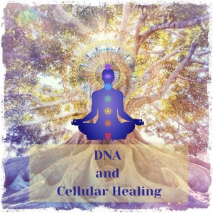 Puede incluir: Una silueta azul de una persona meditando con siete chakras representados por círculos de colores en su cuerpo. La persona está sentada en las raíces de un gran árbol con un diseño de mandala sobre su cabeza. El texto "ADN y curación celular" está escrito debajo de la persona. El fondo es una imagen borrosa de un árbol con un sol brillando a través de las hojas.