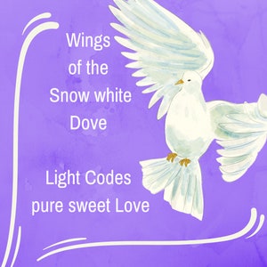 May include: A white dove with wings spread wide against a purple background. The text "Wings of the Snow white Dove Light Codes pure sweet Love" is written in white.