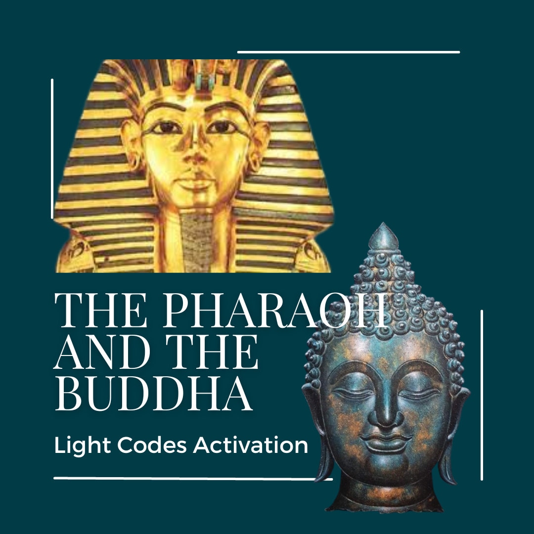 Pharaoh and Buddha Light Codes Activation - Etsy