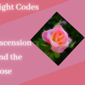 Rose Ray Light Codes Ascension and the Rose Order of the Rose Light Codes Twin Flame Union