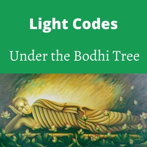 Light Codes Under the Bodhi Tree