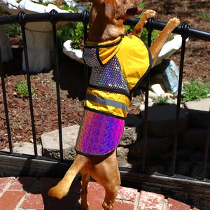 Dog Protective Safety Jacket, Birds of Prey Raptor Away Pet Safety Vest Eagle Armour image 3