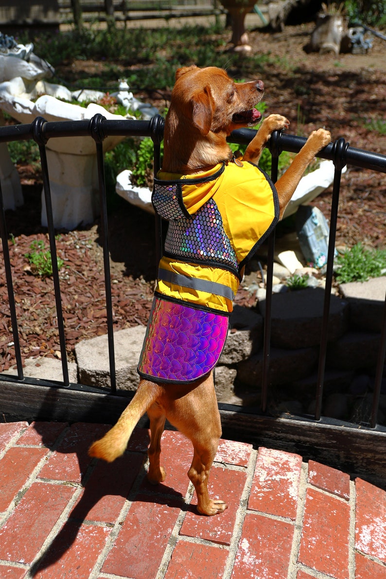 Dog Protective Safety Jacket, Birds of Prey Raptor Away Pet Safety Vest Eagle Armour image 3