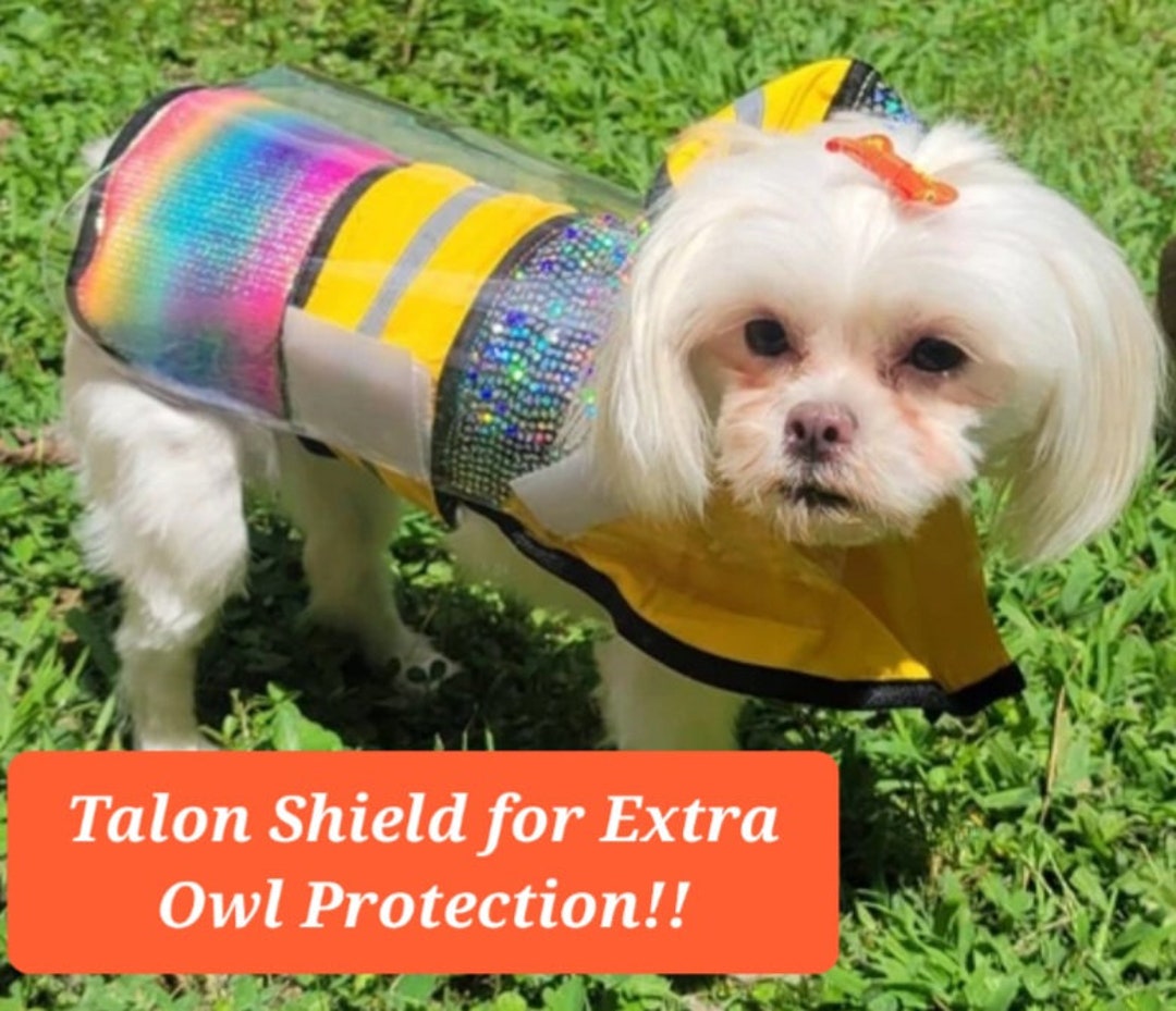 Raptor Shield Inc. - Protective Vests For Your Dogs