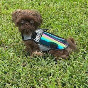 May include: A small, brown dog wearing a reflective vest with a holographic, iridescent finish. The vest has black trim and a gray underlayer. The dog is sitting in green grass.