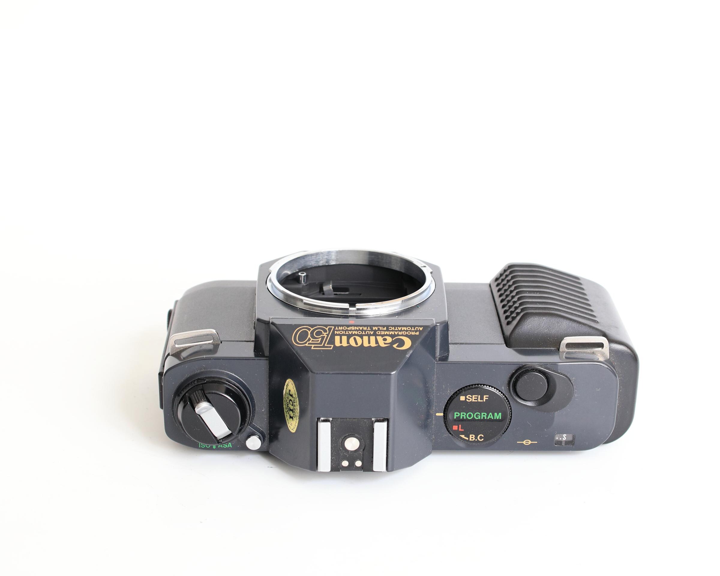 Canon T50 フィルムカメラ 35mm Canon T50 35mmフィルムカメラ：ヴィンテージ写真 - Etsy 日本