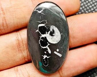 May include: Black and white oval cabochon gemstone with a unique pattern. The gemstone is set in a silver bezel and has a polished finish. G-1212