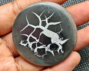 May include: A round, black and white agate cabochon with a dendritic pattern. The cabochon is approximately 2 inches in diameter and has a polished surface. The dendritic pattern is white and resembles a tree branch. The cabochon is labeled "G-1208".