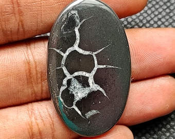 May include: A black and white oval cabochon gemstone with a dendritic pattern. The stone is approximately 2.5 inches long and 1.5 inches wide. The stone is labeled "G-1206".