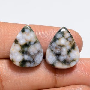 Fantastische hoogwaardige kwaliteit 100% natuurlijke oceaanjaspis peervorm cabochon losse edelstenen paar voor het maken van oorbellen 20,5 kt. 18 x 14 x 4 mm G-3082