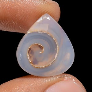 Prachtig, 100% natuurlijke gastropodenfossiele schelp Druzy hart cabochon losse edelsteen voor het maken van sieraden 14 kt. 19 x 18 x 5 mm G-3072