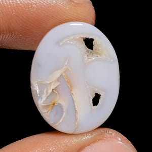 Fantastische Een Kwaliteit 100% Natuurlijke Gastropoden Fossiele Schelp Druzy Ovale Vorm Cabochon Edelsteen Voor Het Maken Van Sieraden 16 kt 21X17X5mm G-3063
