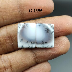 May include: Two white and black dendritic opal cabochons, each with a square shape and a white center. The cabochons are approximately 1 inch in length and 1 inch in width. The image shows the cabochons on a hand, with the text "G-1395" above them.