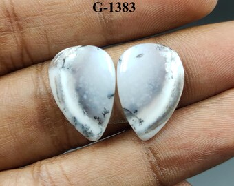 Natural Pear Dendrite Opal Cabochon Pair, 14 Cts Stone For Jewelry Making