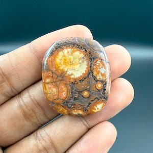 Cabochon de pierres précieuses naturelles en jaspe oeil d'oiseau en forme de coussin, rhyolite en oeil d'oiseau, pierre en vrac pour la fabrication de bijoux, 36,5 carats 33X28X4 mm G-2395
