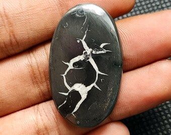 May include: Black and white oval cabochon gemstone with a dendritic pattern. The stone is polished and has a glossy finish. The stone is labeled "G-1215".