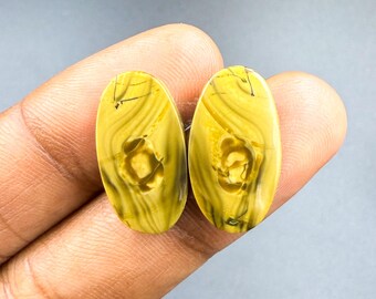 May include: Two oval-shaped gemstones with a yellow and brown color scheme. The stones have a unique pattern with swirls and a central design. The gemstones are held in a hand against a gray background.